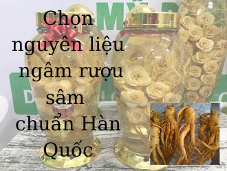 Cách chọn nguyên liệu để ngâm rượu nhân sâm chuẩn Hàn Quốc 